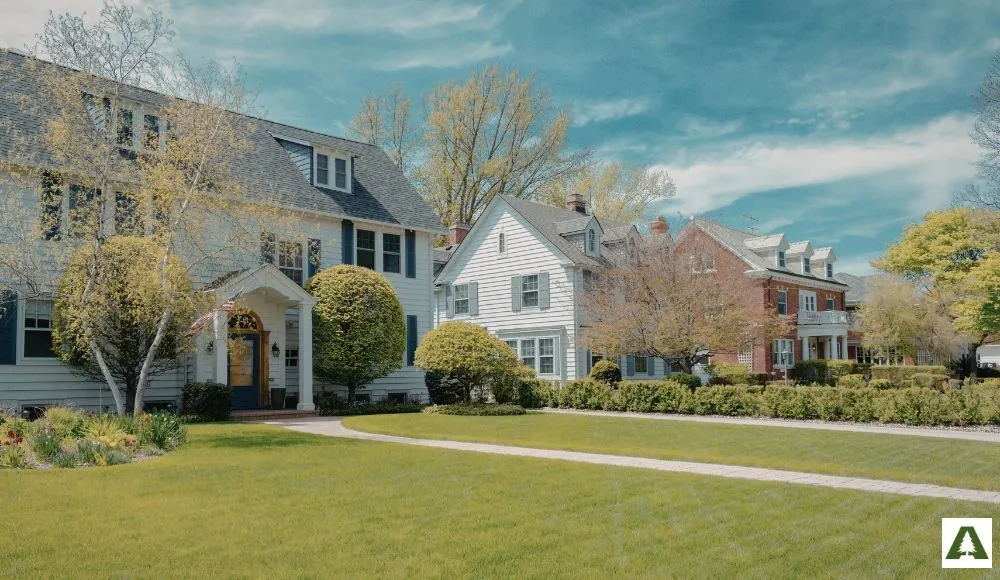 Boost Curb Appeal with Strategic Tree Removal
