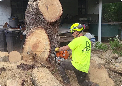 Arbor Max tree service team