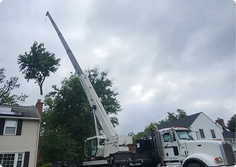 Arbor Max tree service team