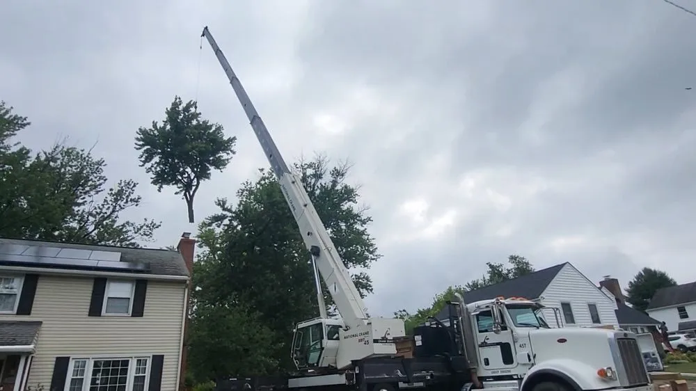 The Advantages of Crane-Assisted Tree Removal