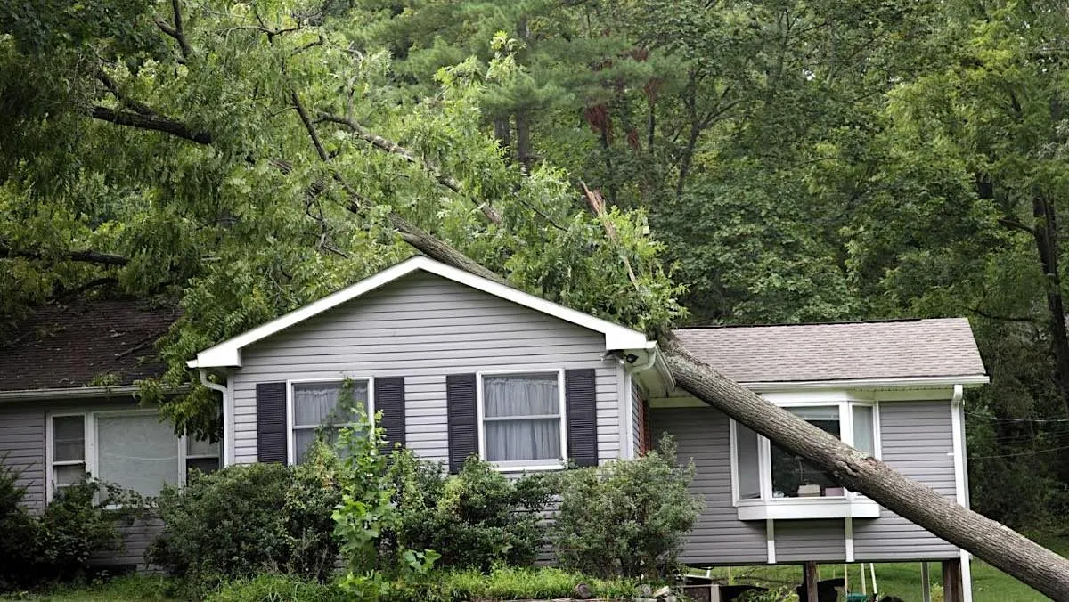 Emergency Tree Service Berks County