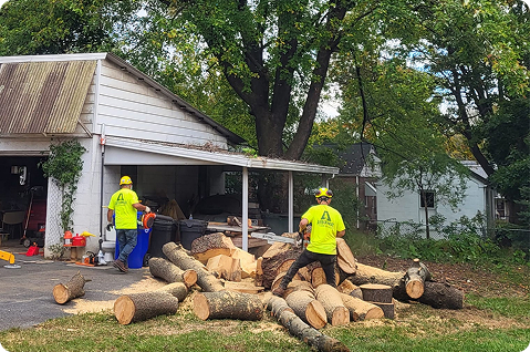 Tree Removal