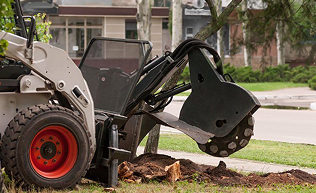 Stump Grinding