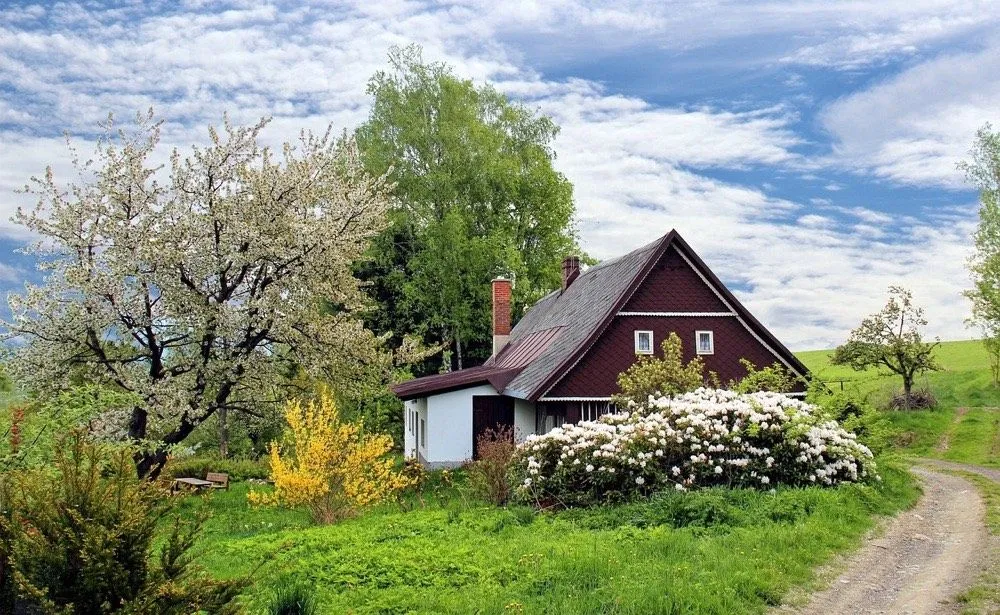 Why You Need a Fully Insured Tree Service
