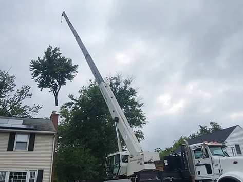 Crane Assisted Removals in Fleetwood, PA