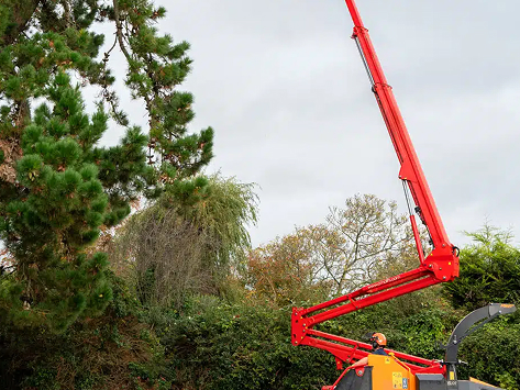 Crane Assisted Removals in Gilbertsville, PA