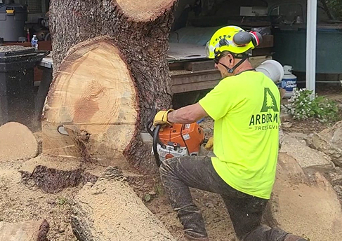 Tree Removal in Berks County