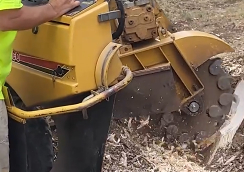 Stump Grinding Service