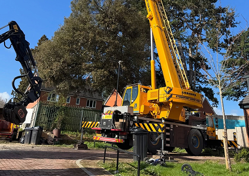 Crane Assisted Removals