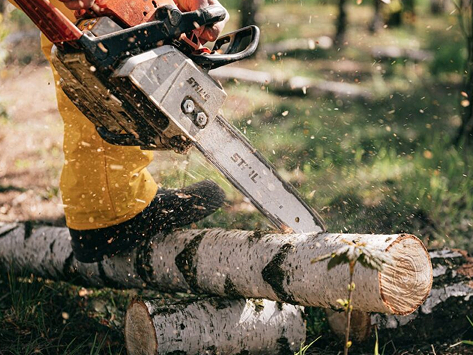 Tree Removal in Boyertown, PA