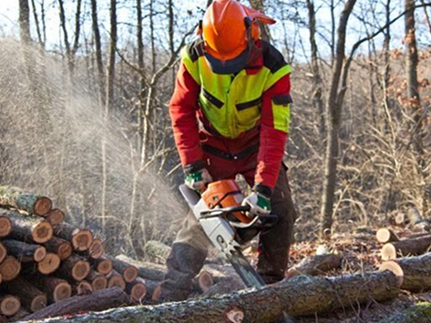 Tree Service in Gilbertsville PA