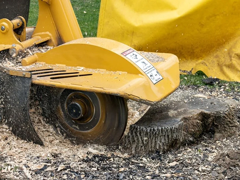 Stump Grinding Fleetwood, PA