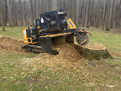 Stump Grinding in Boyertown, PA