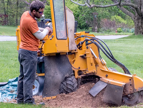 Stump Grinding in Douglassville, PA