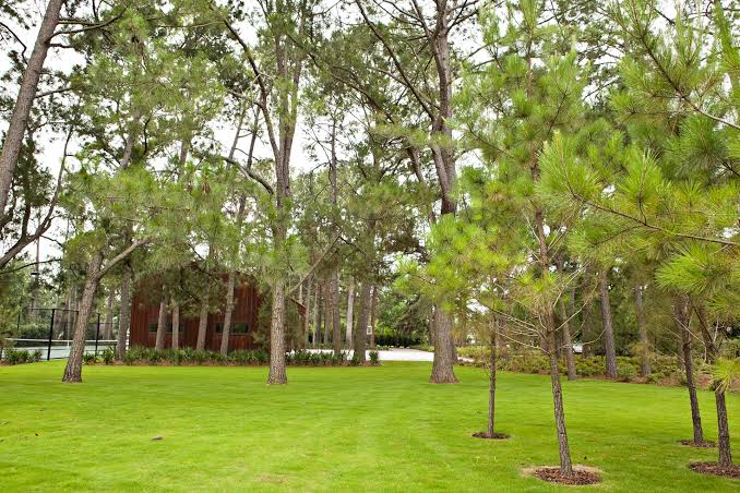 Vertical Mulching